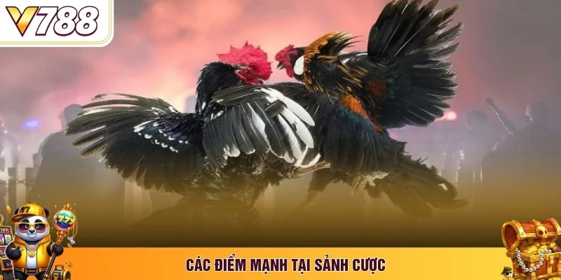 Các điểm mạnh tại sảnh cược