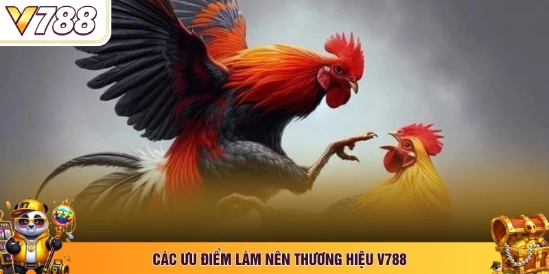 Các ưu điểm làm nên thương hiệu V788