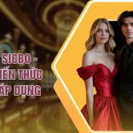 Cách Chơi Sicbo - Tổng Hợp Kiến Thức Cơ Bản Dễ Áp Dụng
