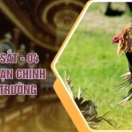 Đá Gà Cựa Sắt - 04 Cách Giúp Bạn Chinh Phục Đấu Trường