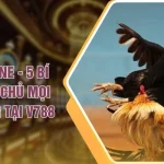 Đá Gà Online - 5 Bí Quyết Làm Chủ Mọi Đấu Trường Tại V788