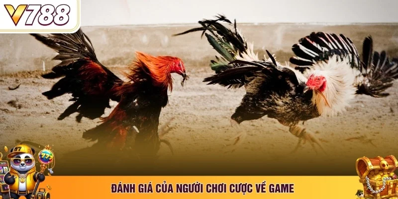 Đánh giá của người chơi cược về game