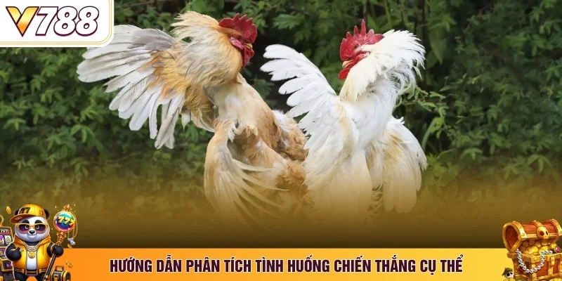 Hướng dẫn phân tích tình huống chiến thắng cụ thể