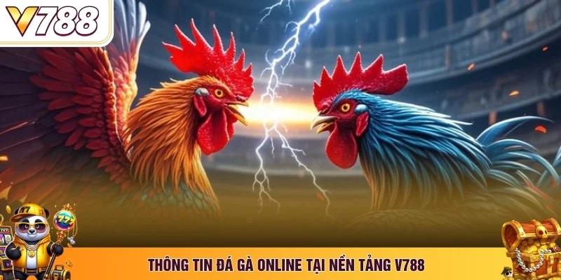 Thông tin đá gà online tại nền tảng V788