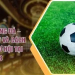 Xả Kèo Bóng Đá – Chiến Thuật Và Cách Nắm Bắt Cơ Hội Tại V788